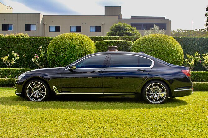 Luxury Van - Sydney Airport Private Departure Transfer - The Drive to Mascot: Comfort, Plus a Real Focus on Timing