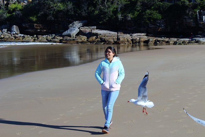 Manly and more private tour - Balmoral Beach: a harbour-facing beach with direct line to the Heads