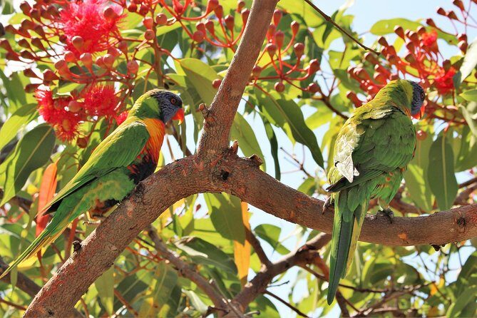 Manly and more private tour - North Head Sanctuary: native bush and the Sydney Harbour National Park payoff