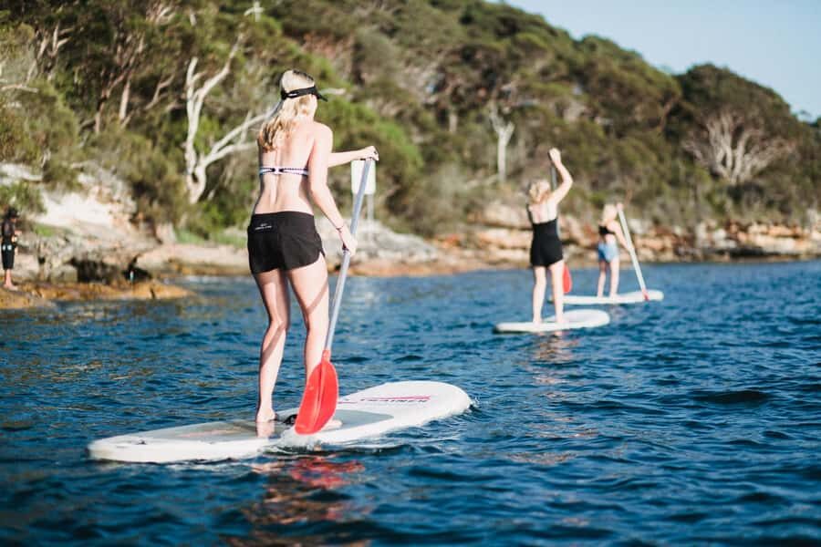 Manly Stand Up Paddle Board Hire - Your 2-Hour Plan: From Yachts to Four Beaches
