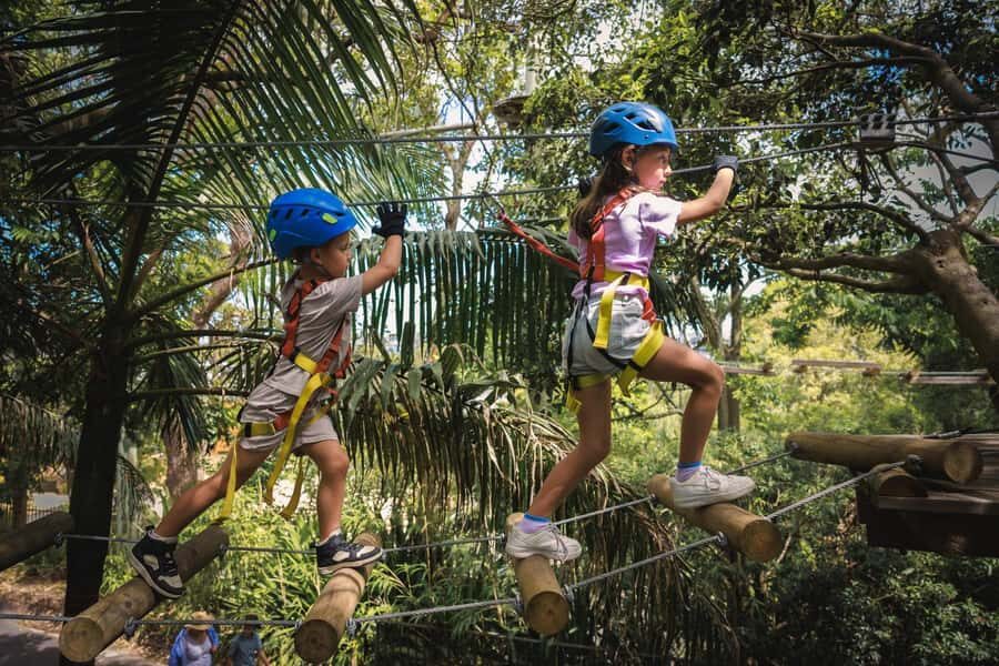 Pennant Hills: Junior Tree Ropes Course - Key Things I’d Watch Before You Go