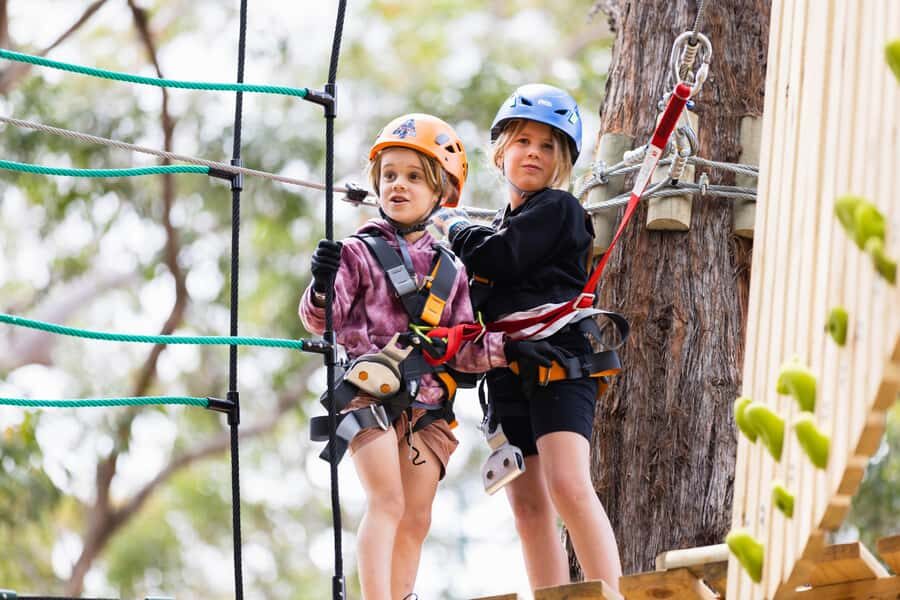 Pennant Hills: Junior Tree Ropes Course - Pennant Hills in NSW: A Real Intro to Aerial Adventure
