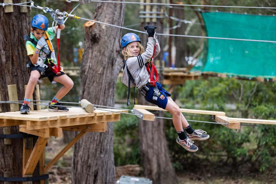 Pennant Hills: Junior Tree Ropes Course - Junior Courses for Ages 3 to 7: Choosing the Right Challenge