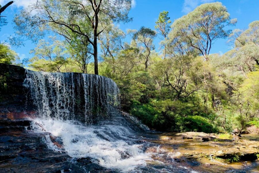 Personalised Blue Mountains Tour: Luxury Vehicles & Insights - Pulpit Rock, Anvil Rock, and Govetts Leap: choosing the viewpoint that fits your energy