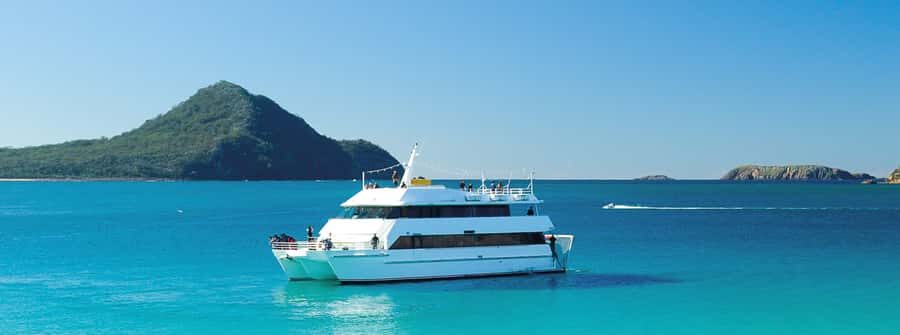 Port Stephens: Dolphin, Lunch, Koalas&Sandboarding -Mandarin - Sydney to Port Stephens by coach: the early start that makes it work