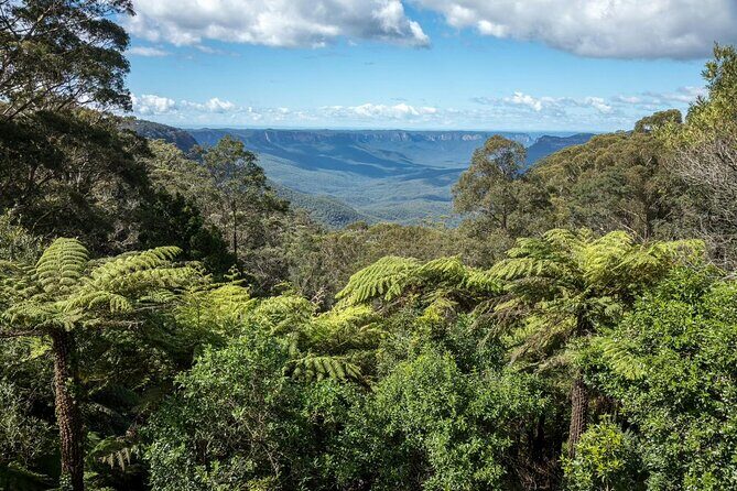 Private Blue Mountains Day Tour (avoid the crowds) - Scenic World options: railway, cableway, and skyway without wasting time