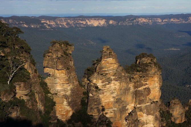 Private Blue Mountains Day Trip VIP from Sydney luxury Mercedes - Leura Lunch and Shops: A Real Break From Lookout Time