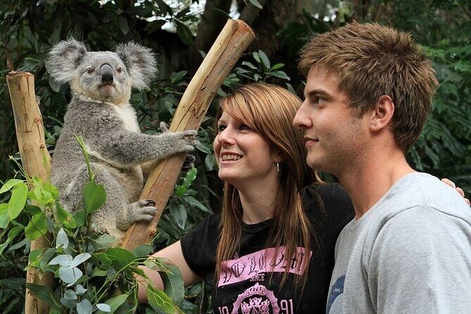 PRIVATE Blue Mountains Scenic World Australian Wildlife & Cruise - Key highlights worth planning for
