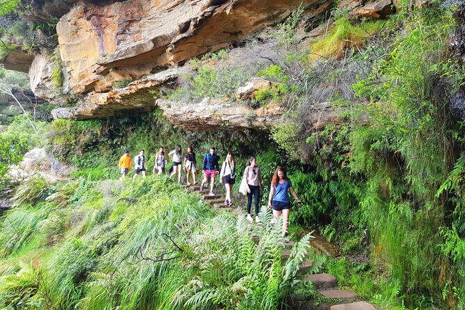 PRIVATE Blue Mountains Tour, Wildlife Park and River Cruise - Blue Mountains National Park time: time to breathe