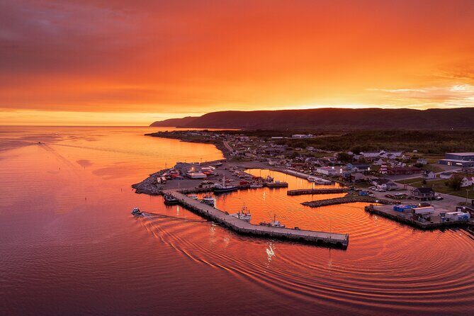 Private Cruise Excursion in Cape Breton - Comfort on winding roads: air-conditioned van, but plan for motion