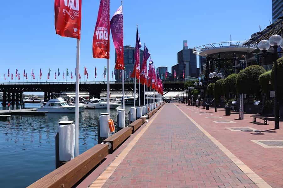 Private Half Day Sydney City Tour - Royal Botanic Garden and Mrs Macquarie’s Chair skyline views