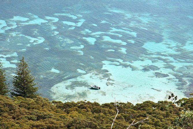 Private Port Stephens Day Trip from Sydney incl Dolphin Cruise - Stockton Sand Dunes sandboarding: the optional adrenaline with extra costs