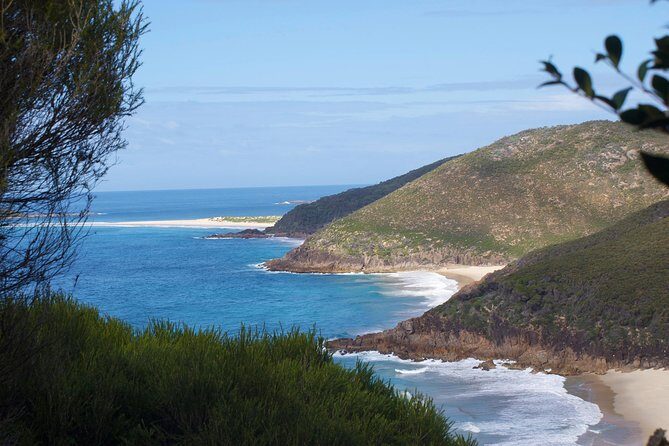 Private Port Stephens Day Trip from Sydney incl Dolphin Cruise - Making dolphin time work for you (without getting stressed)