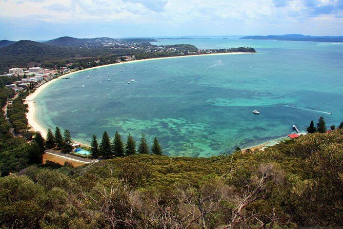Private Port Stephens Day Trip from Sydney incl Dolphin Cruise - Who should book this Port Stephens dolphin day trip?