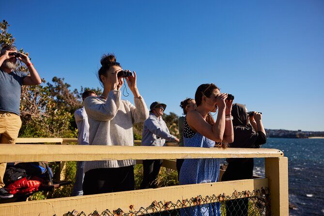 Private Sydney Snorkeling Experience: Explore Cabbage Tree Bay - Included gear, wetsuits, binoculars, and the tour photos