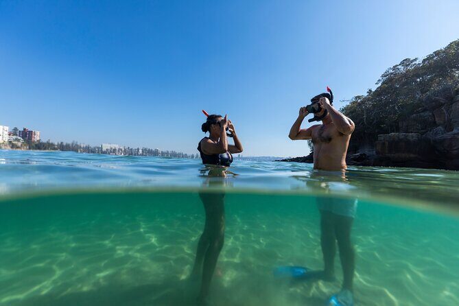 Private Sydney Snorkeling Experience: Explore Cabbage Tree Bay - The real “value” of private snorkeling at this price