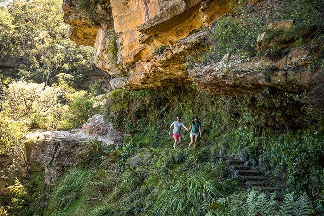 Private Tour: Blue Mountains Hiking & Nature - The Blue Mountains day that actually feels organized
