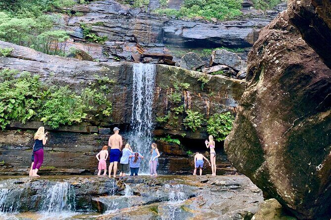 Private Tour: Blue Mountains Hiking & Nature - Prince Henry Cliff Walk: the easy hike between stops