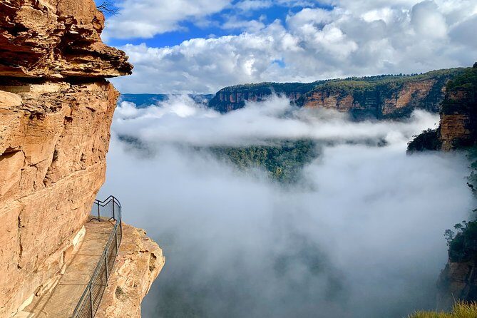 Private Tour: Blue Mountains Hiking & Nature - Getting out of Sydney: pickup, comfort, and pacing