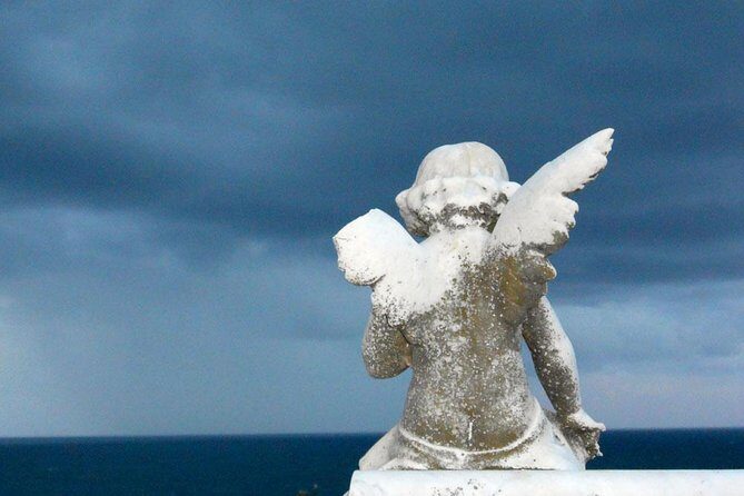 Private Tour: Half-Day Iconic Sydney - Nielsen Park and Shark Beach: A Family-Style Coastal Break