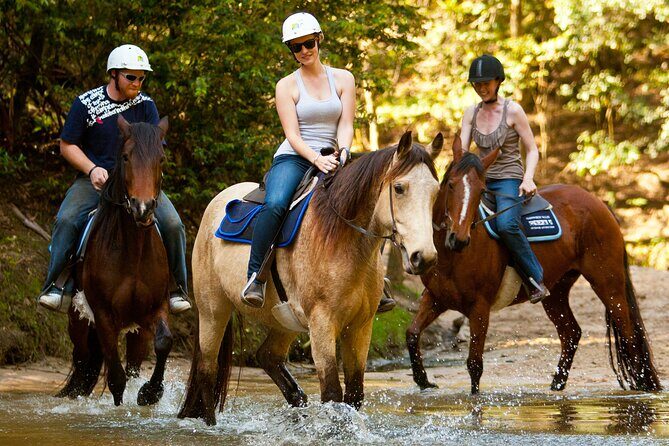 Private Tour: Jenolan Caves & Blue Mountains in a day - Scenic World is optional: when it’s worth paying extra