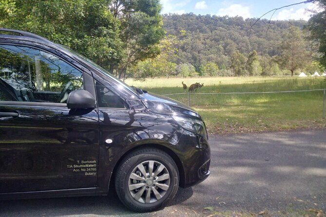 Private Transfer FROM Sydney CBD to Sydney Airport 1 to 5 people - The Airport Arrival Moment: What You Should Plan for