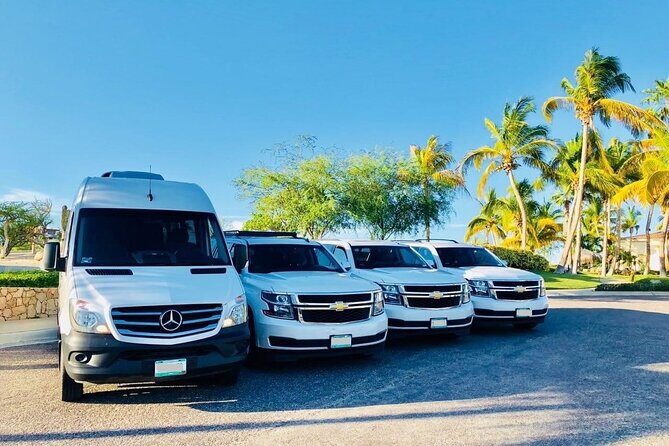Private Transfer from Sydney Cruise Port to Sydney Airport (SYD) - Sydney Cruise Port to SYD: why this private transfer makes sense