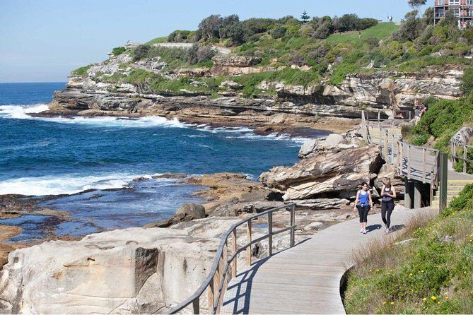 Private Walangari's Aboriginal Walking Tour in Bondi Beach - Bush foods and medicines along the route: seeing practical knowledge