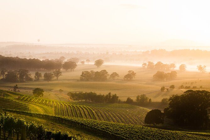 Private Wildlife Waterfalls and Wine Day Tour from Sydney - Bald Hill Lookout: hang-glider vibes and Sea Cliff Bridge views