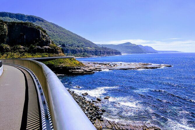Private Wildlife Waterfalls and Wine Day Tour from Sydney - The Grand Pacific Drive and Sea Cliff Bridge crossing