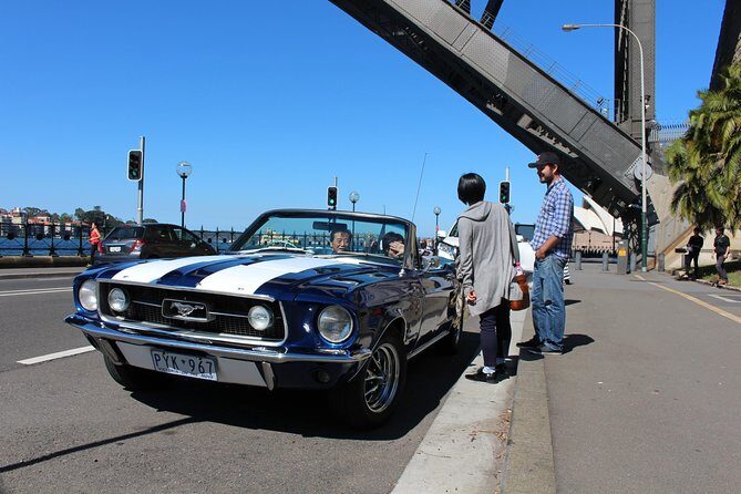 Six-Bridges-of-Sydney-Vintage-Car-Ride-Experience - Key highlights to know before you go