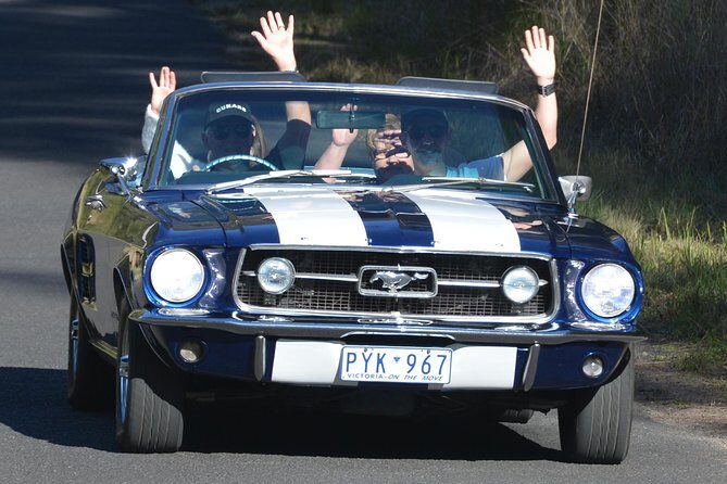 Six-Bridges-of-Sydney-Vintage-Car-Ride-Experience - Gladesville Bridge and the Anzac Bridge finish