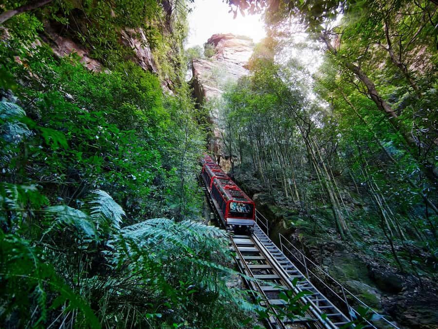 Small Group: Zoo, Blue Mountains, Scenic World Mandarin Tour - Quick checklist for the day (so you don’t miss the fun)