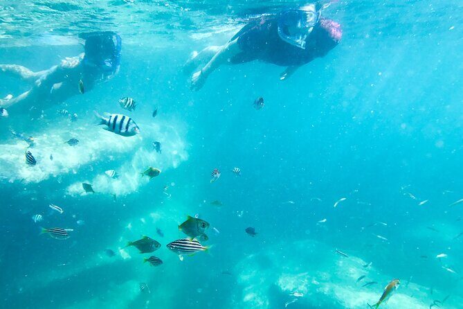 Snorkeling Adventure for Kids with Private Guide In Sydney - Safety and pacing: how guides keep mixed ages calm