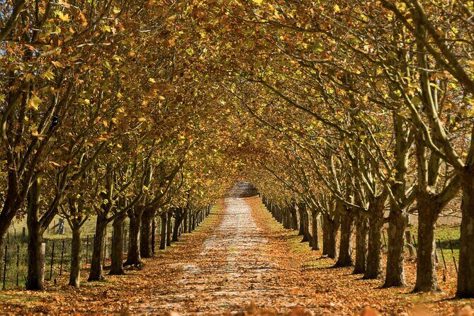 Southern Highlands Private Tour with Wine, Waterfall and Garden - Bowral’s Rolling Hills and Easy Town Time