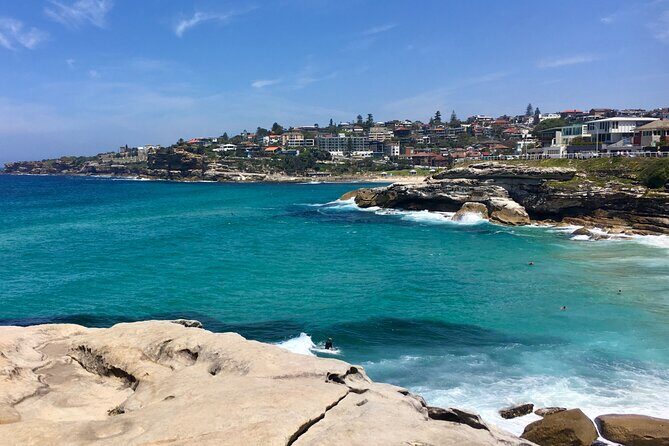 Sydney Beaches Half Day Drive and Walk Tour - What This 4-Hour Sydney Coast Loop Feels Like