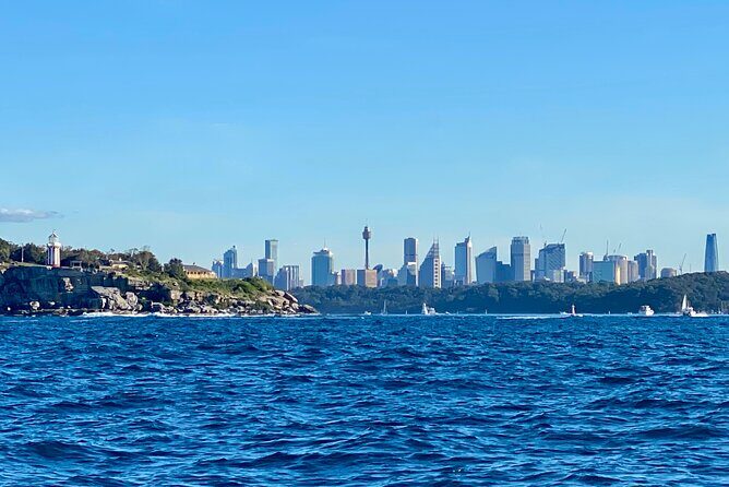 Sydney Beaches Half Day Drive and Walk Tour - Bondi Beach Walk: Ocean Pool to the Point (Without the Stress)
