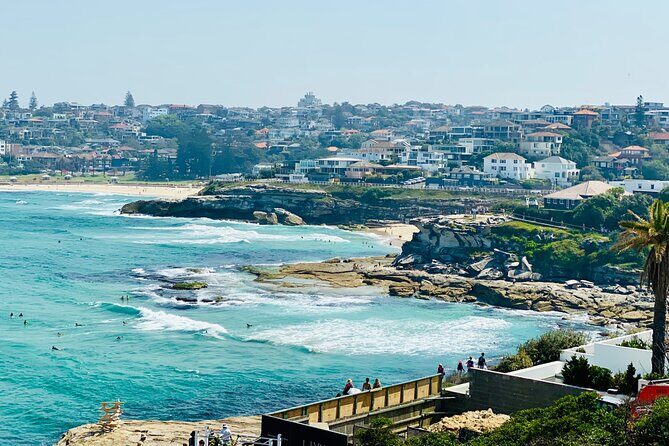 Sydney Beaches Half Day Drive and Walk Tour - Private Transport and Todd Tours: Why the Guide Matters
