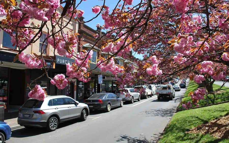 Sydney: Blue Mountains & Featherdale Wildlife Park Day Trip - Price and value: $1,189 per group up to 4