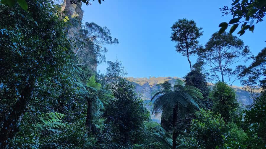 Sydney Blue Mountains, Scenic World, Featherdale - Small-group comfort and the guide impact (Eric’s style)