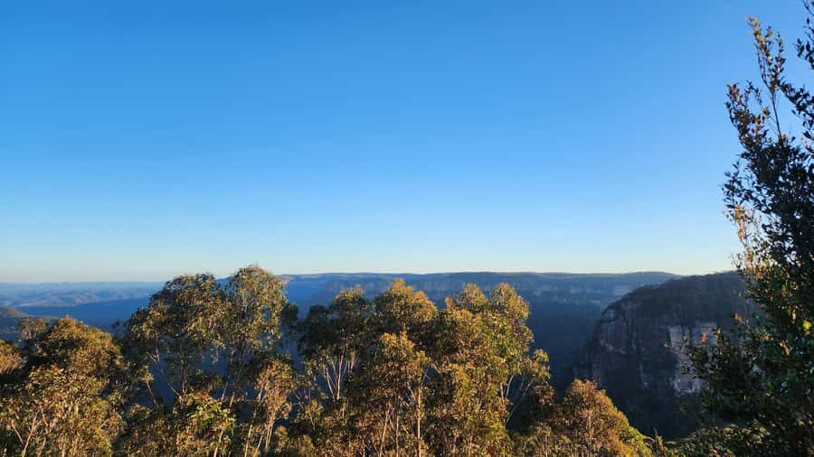 Sydney Blue Mountains, Scenic World, Featherdale - Price and ticket reality: what $300 really buys