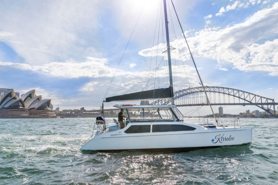 Sydney: Bring Your Own Drinks Vivid Harbour Cruise - Price and value: why $41 can work out well