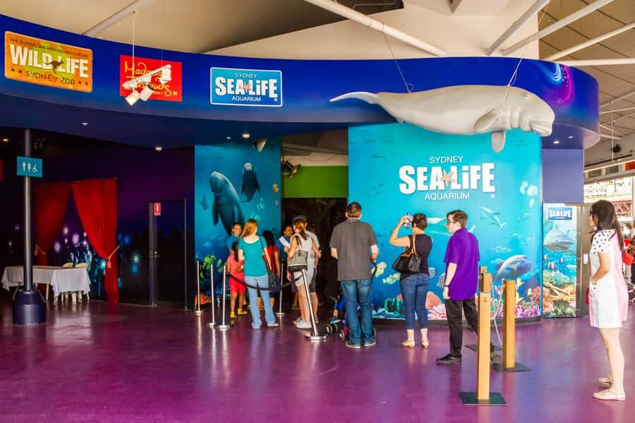 Sydney: Combo Pass for 2, 3, or 4 Top City Attractions - Sydney Tower Eye Climb: The Views Beat the Wait