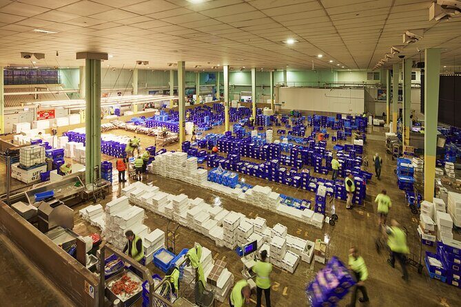 Sydney Fish Market Behind the Scenes Tour - Key Things You’ll Notice on This Sydney Fish Market Tour