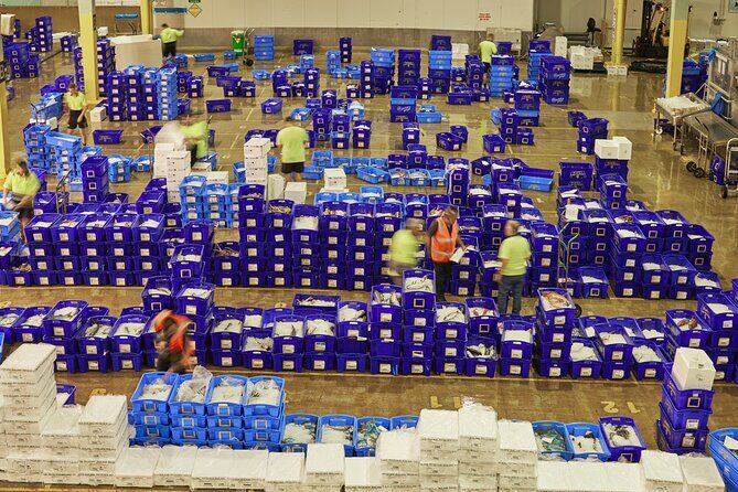 Sydney Fish Market Behind the Scenes Tour - Inside the Auction Floor: Where Seafood Gets Sold