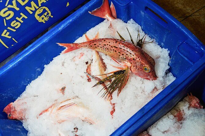 Sydney Fish Market Behind the Scenes Tour - Grading, Sorting, and Packing: The Steps That Restaurant Food Depends On