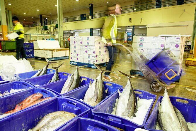 Sydney Fish Market Behind the Scenes Tour - The Dutch Auction System: How Prices Move Fast