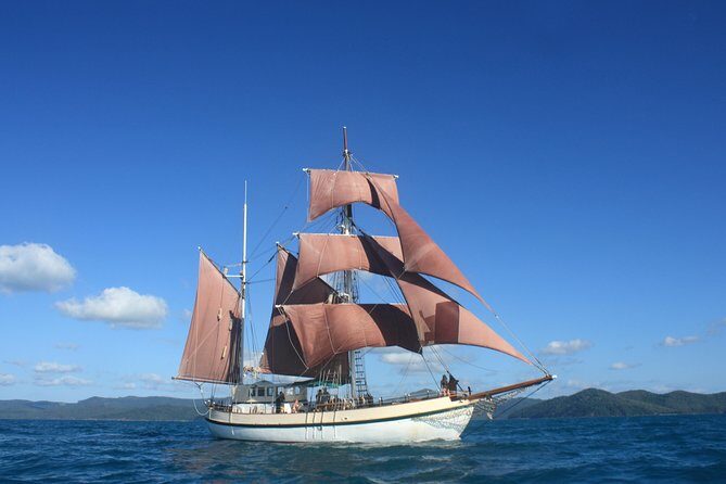 Sydney Harbour Tall Ship Whale & Sail - Whale Watching Cruise - Harbor Sightseeing: From the Opera House to Fort Denison and Beyond