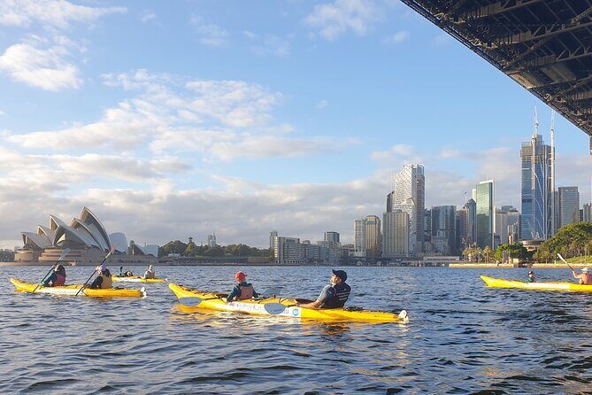 Sydney Kayak Seal Encounter Adventure with Gourmet Food - More beach time after lunch: how the day stays fun
