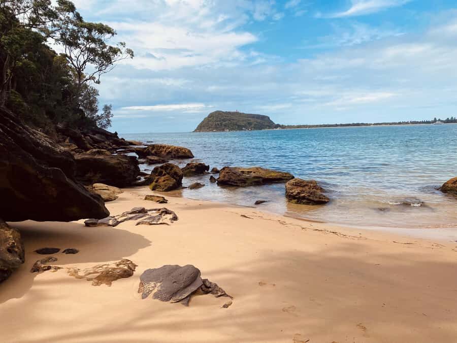 Sydney: Ku-ring-gai National Park with Hike, Beach & Picnic - Key highlights you’ll actually care about